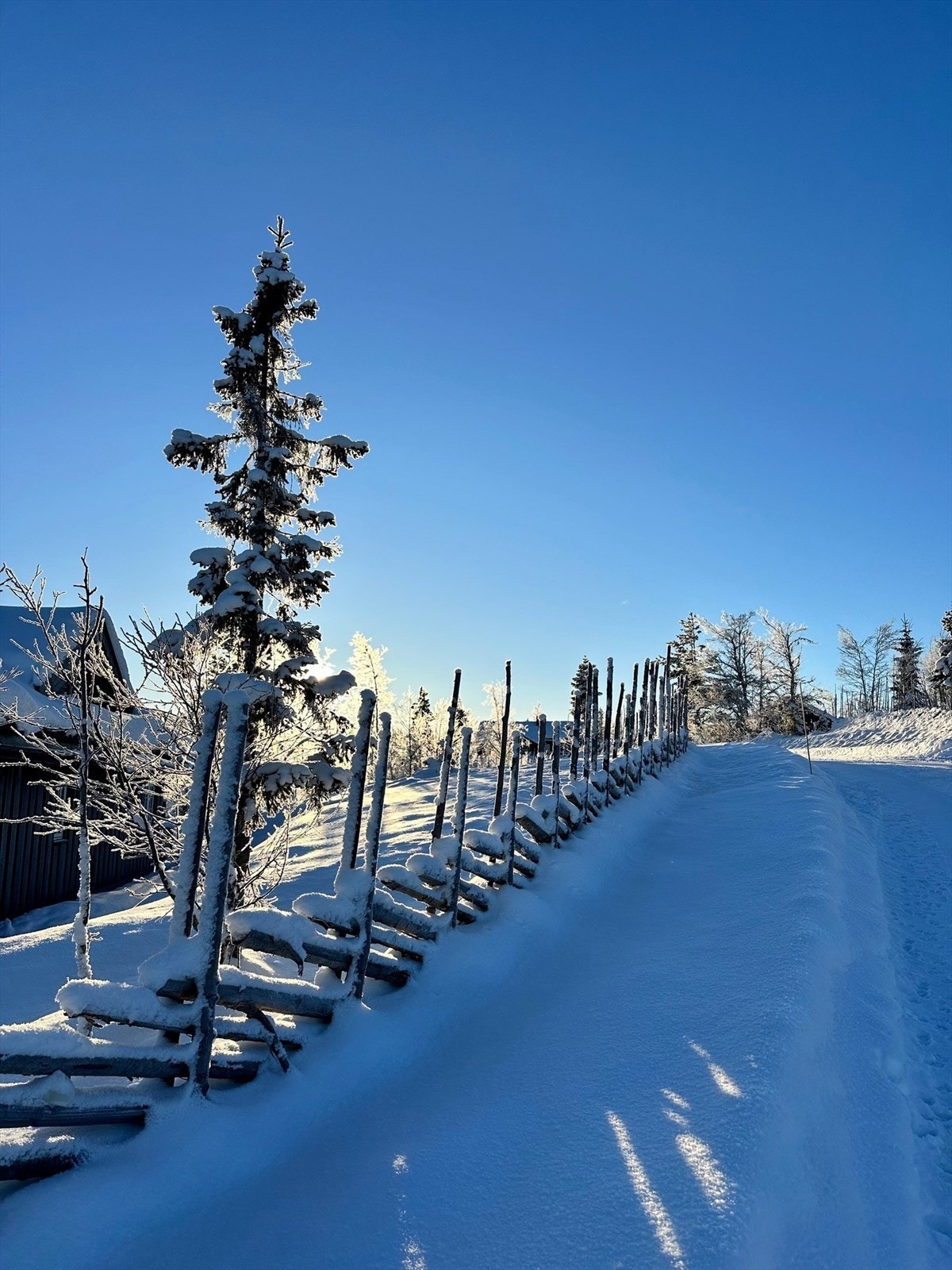 Storhallhøgde 8 ligger skjermet til ca. 899 meter over havet på idylliske Nesfjellet i Hallingdal, som befinner seg ca. 35 minutter unna Gol og bare 2,5 time fra Oslo. Galleribilde