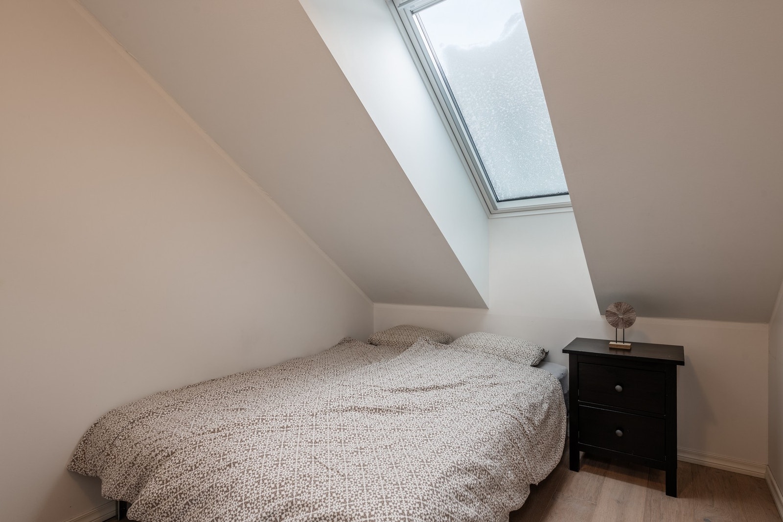 Koselig soveorm Galleribilde