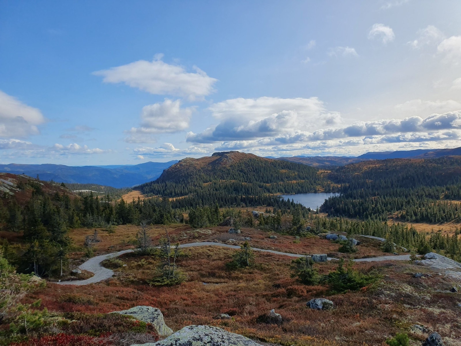 Sykkelstien Hallingspranget i umiddelbar nærhet. Galleribilde
