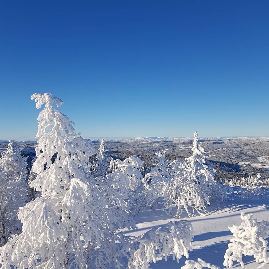 Gled deg til magisk landskap på Nesfjellet! Galleribilde