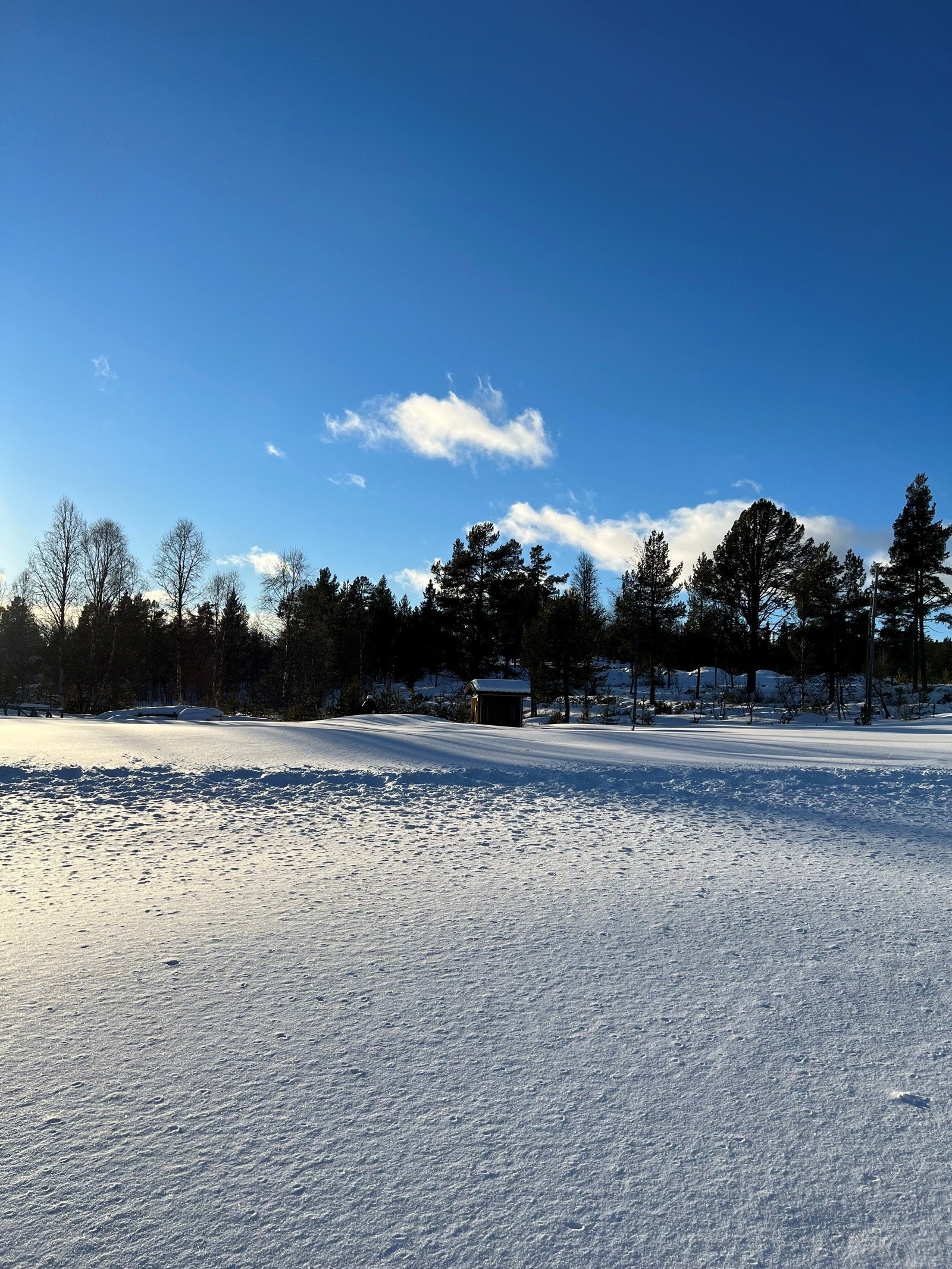 Vinterstemning. Galleribilde