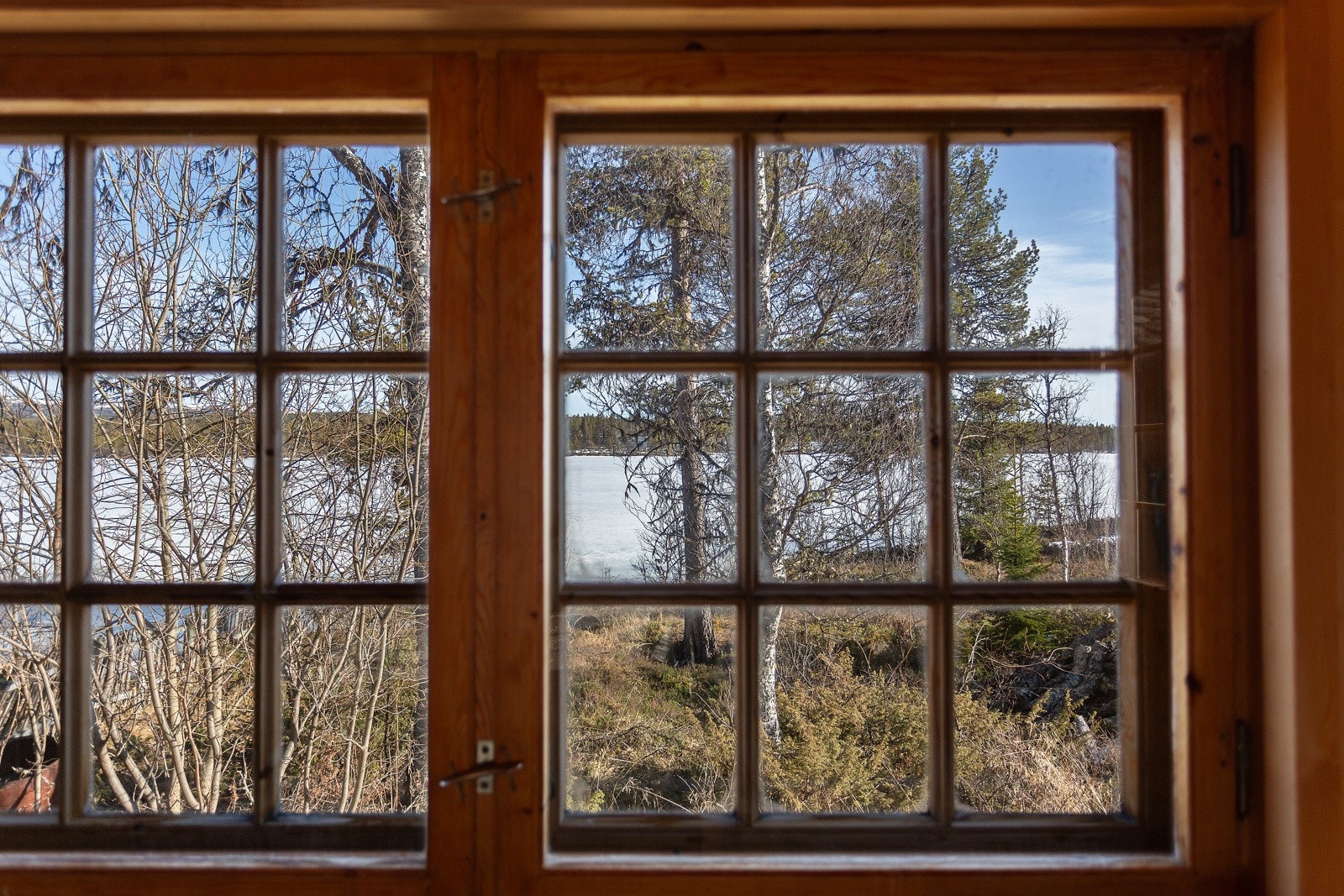 Det er fin utsikt mot norsk natur fra hytta. Galleribilde