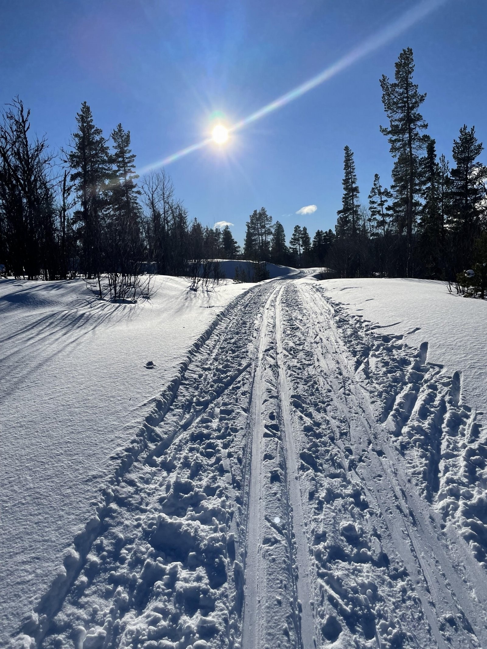 Området har fantastiske skiløyper om vinteren! Galleribilde