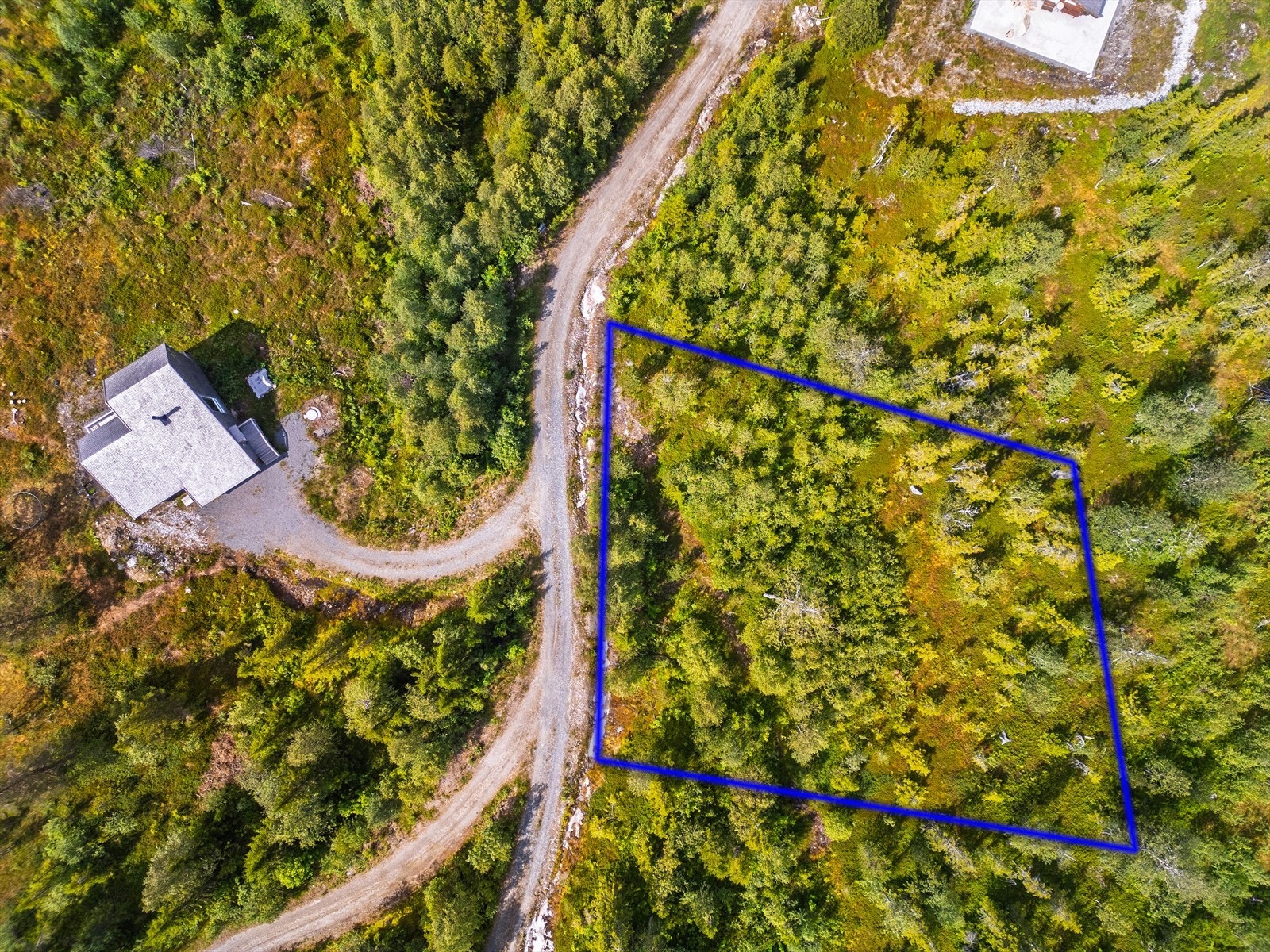 Illustrert tomtegrense, avvik må påregnes. Galleribilde