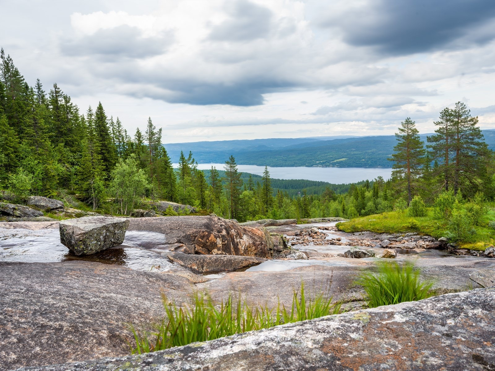 Vi anbefaler alle interessenter å reise opp til området for å få et inntrykk av den flotte naturen. Galleribilde