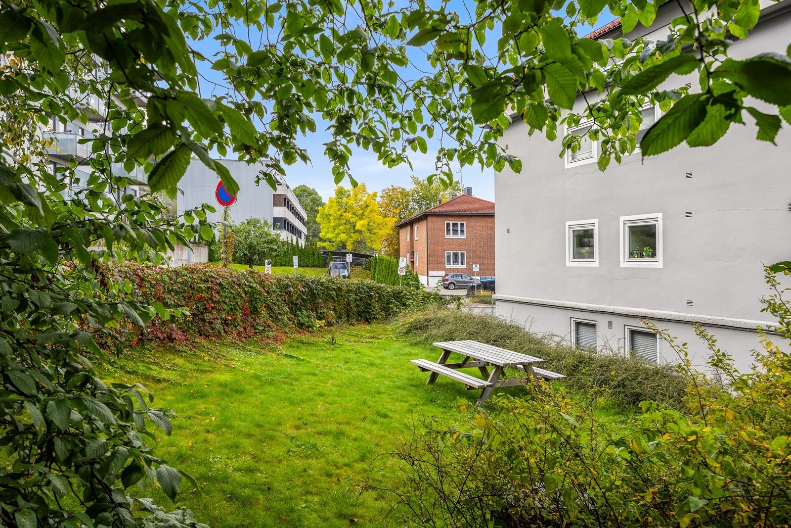 Aksjelaget har en felles hage som kan benyttes av beboerne Galleribilde