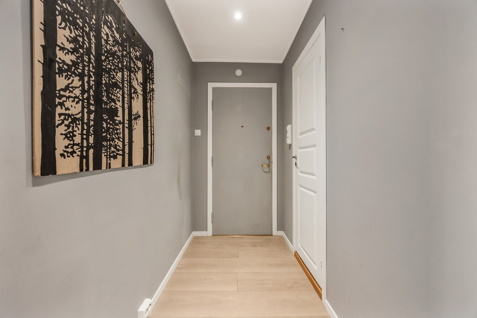 Entrédøren er brann- og lydklassifisert Galleribilde