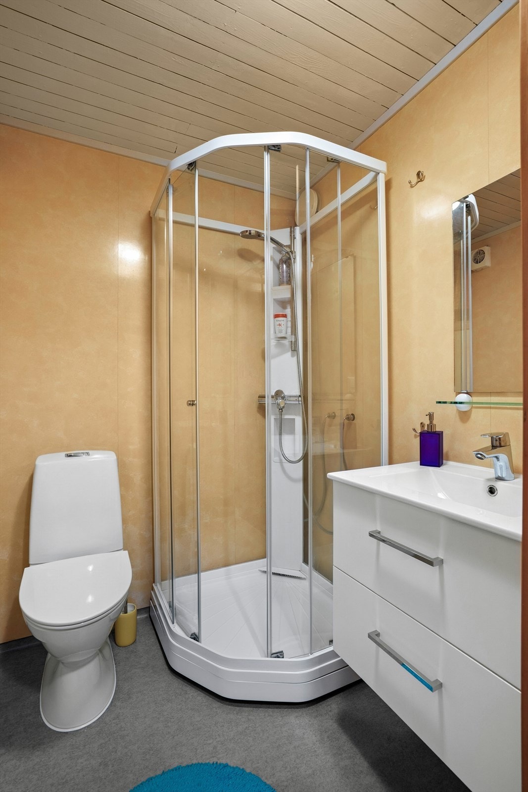 Badet i kjelleren består av speil, servant med seksjon, toalett og dusjkabinett. Galleribilde