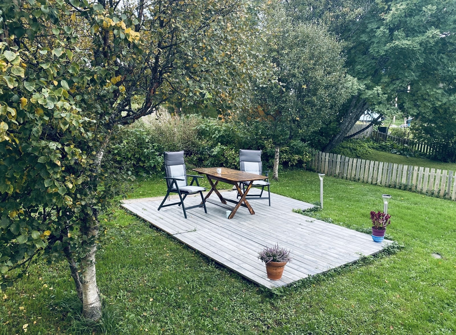 Selgers private bilder. Galleribilde