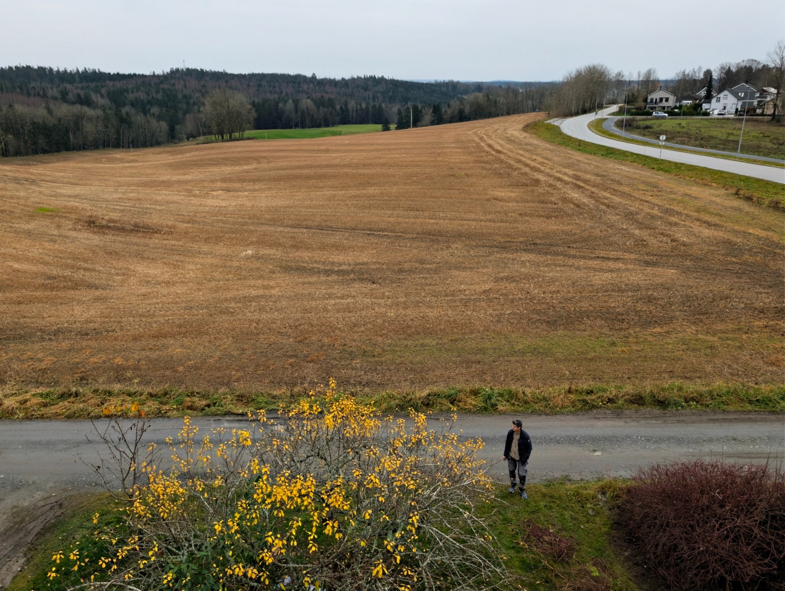 fra tak Galleribilde