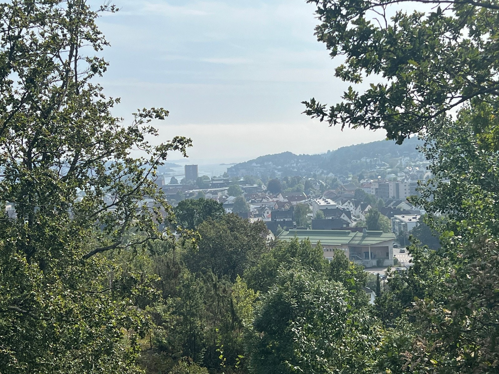 ..denne panoramaen over byen og innseilingen! Samt havet i syd! Galleribilde