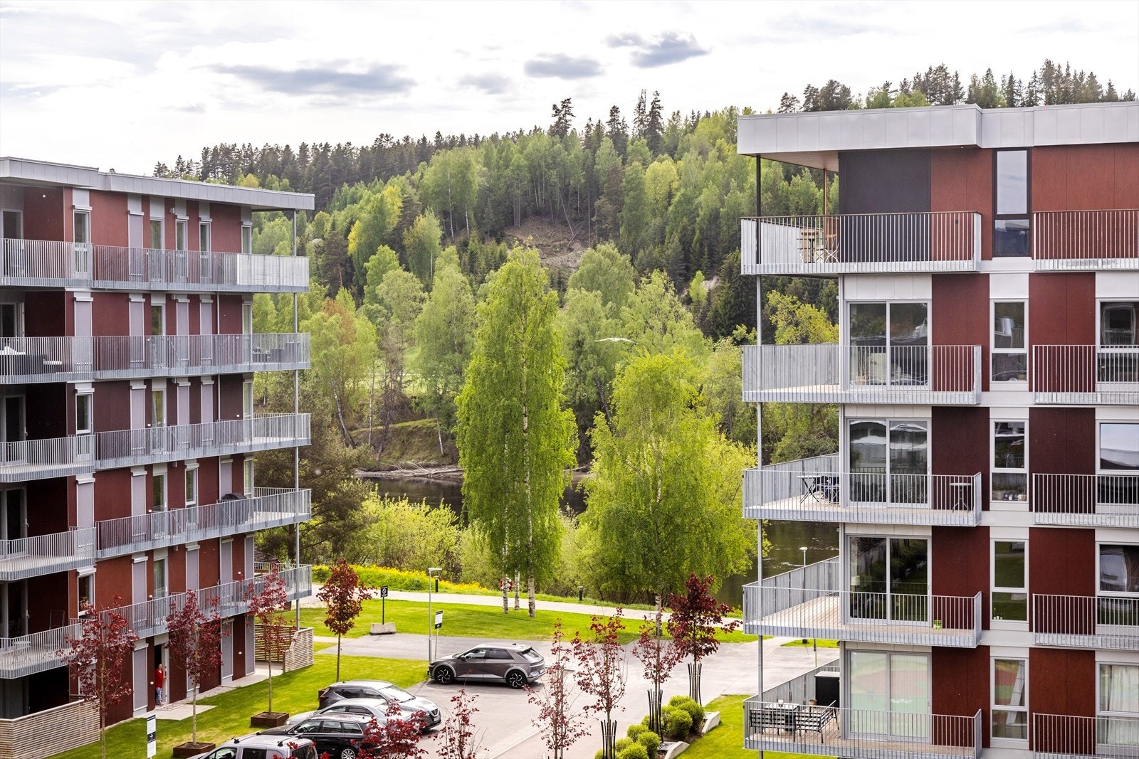 Flott utsikt fra vinduet i stua. Galleribilde