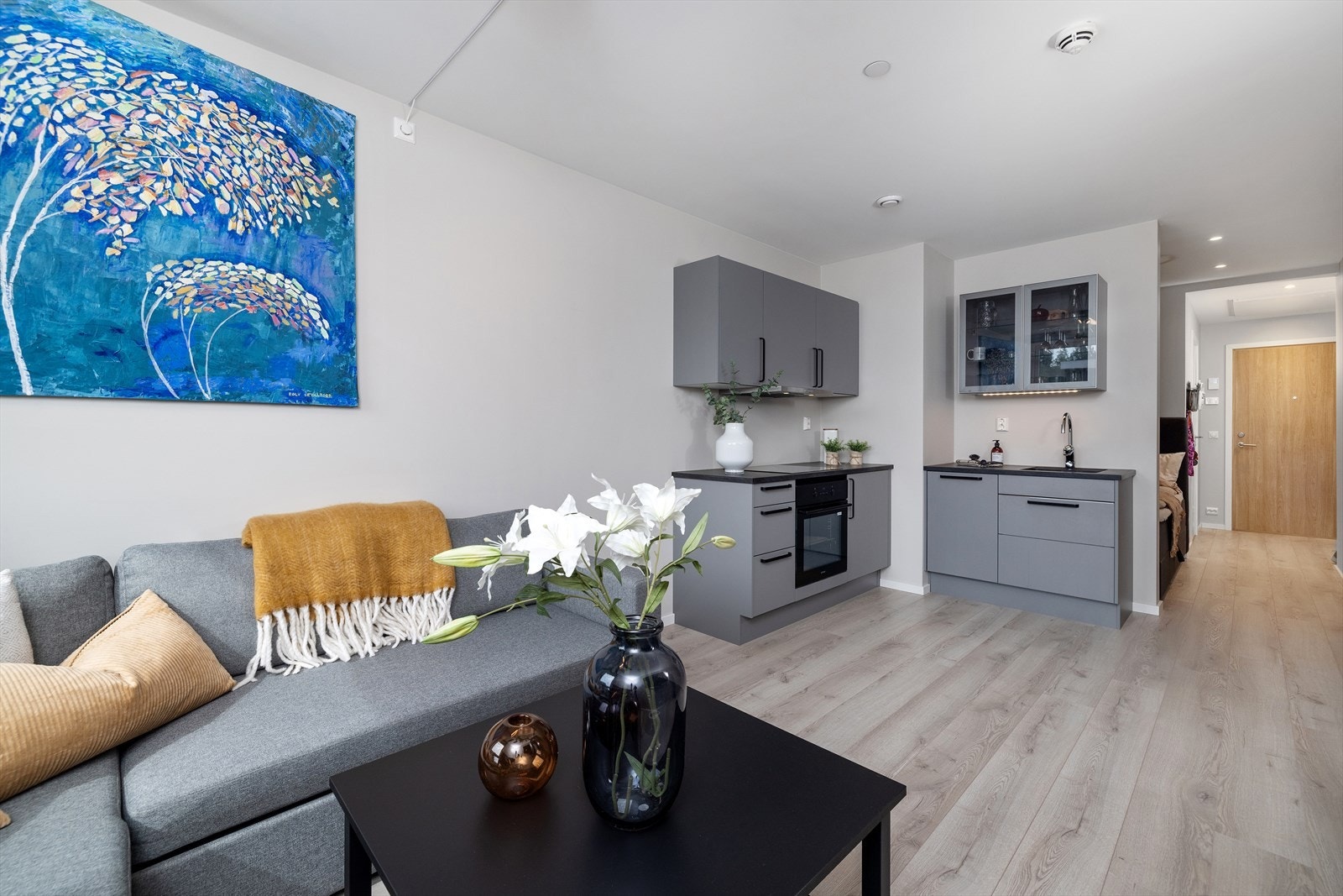 Moderne og innbydende studioleilighet beliggende i 5. etasje. Galleribilde