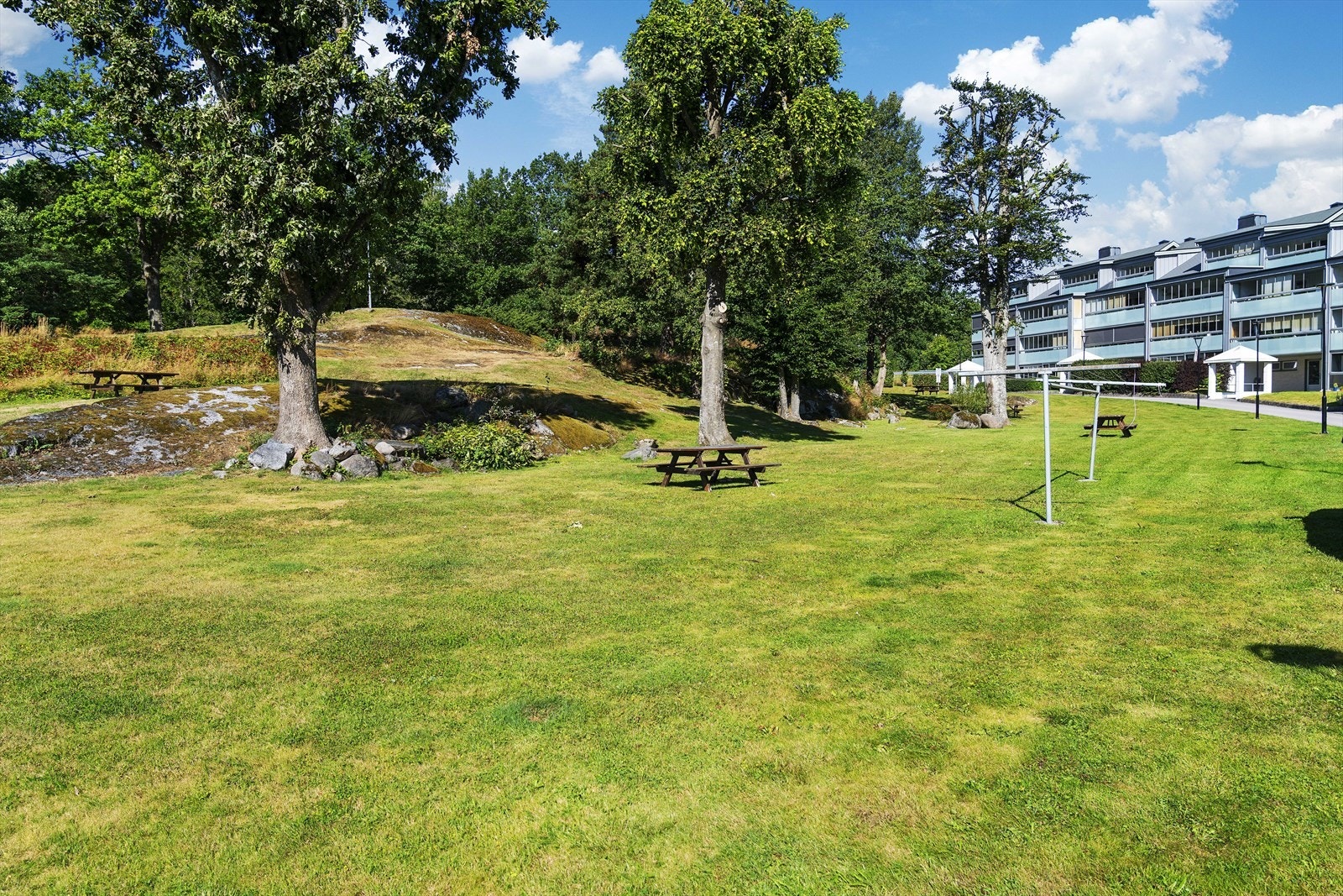 Flotte felles grøntarealer i borettslaget Galleribilde