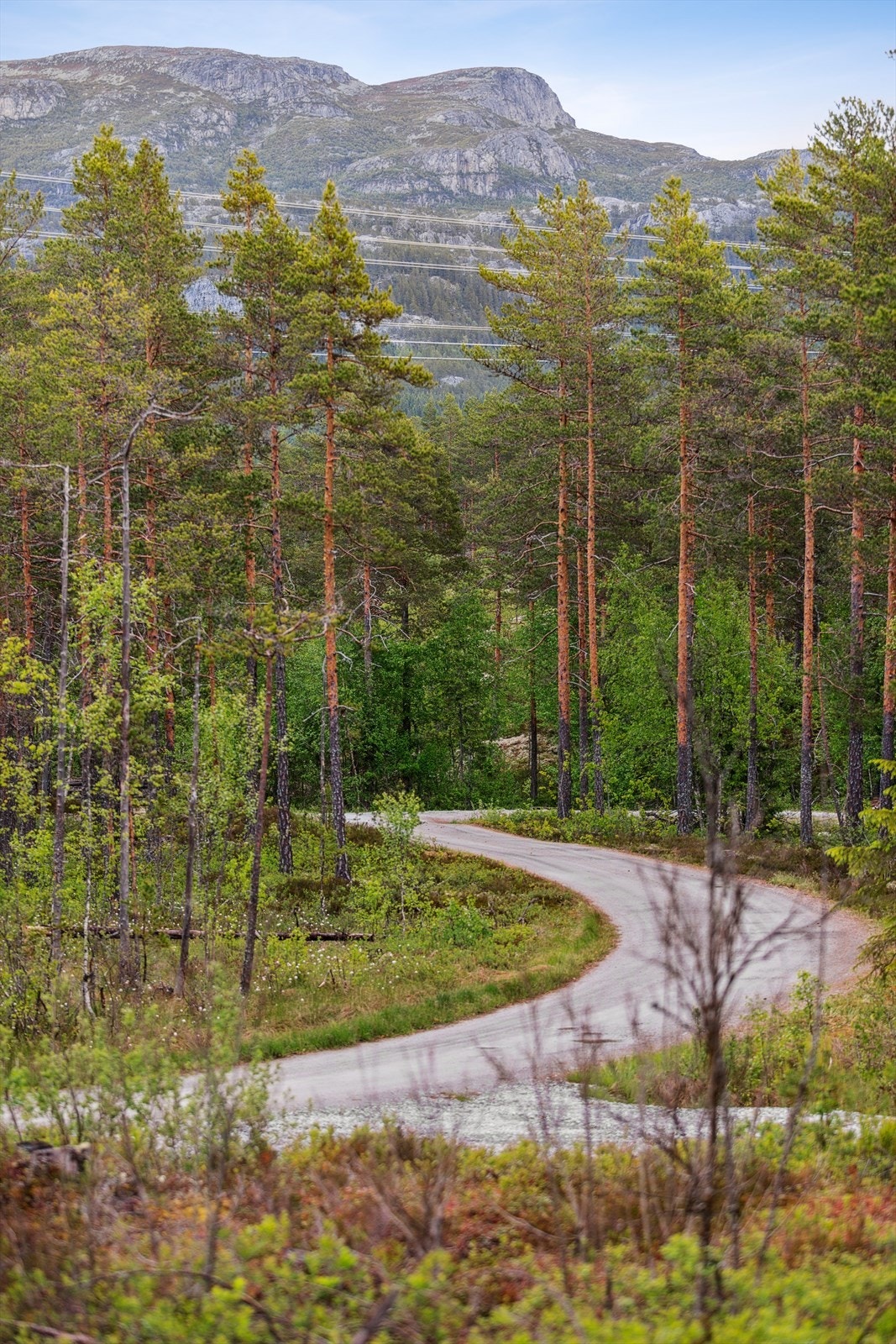 Området byr på flotte tur - og rekreasjonsmuligheter sommer som vinter. Galleribilde