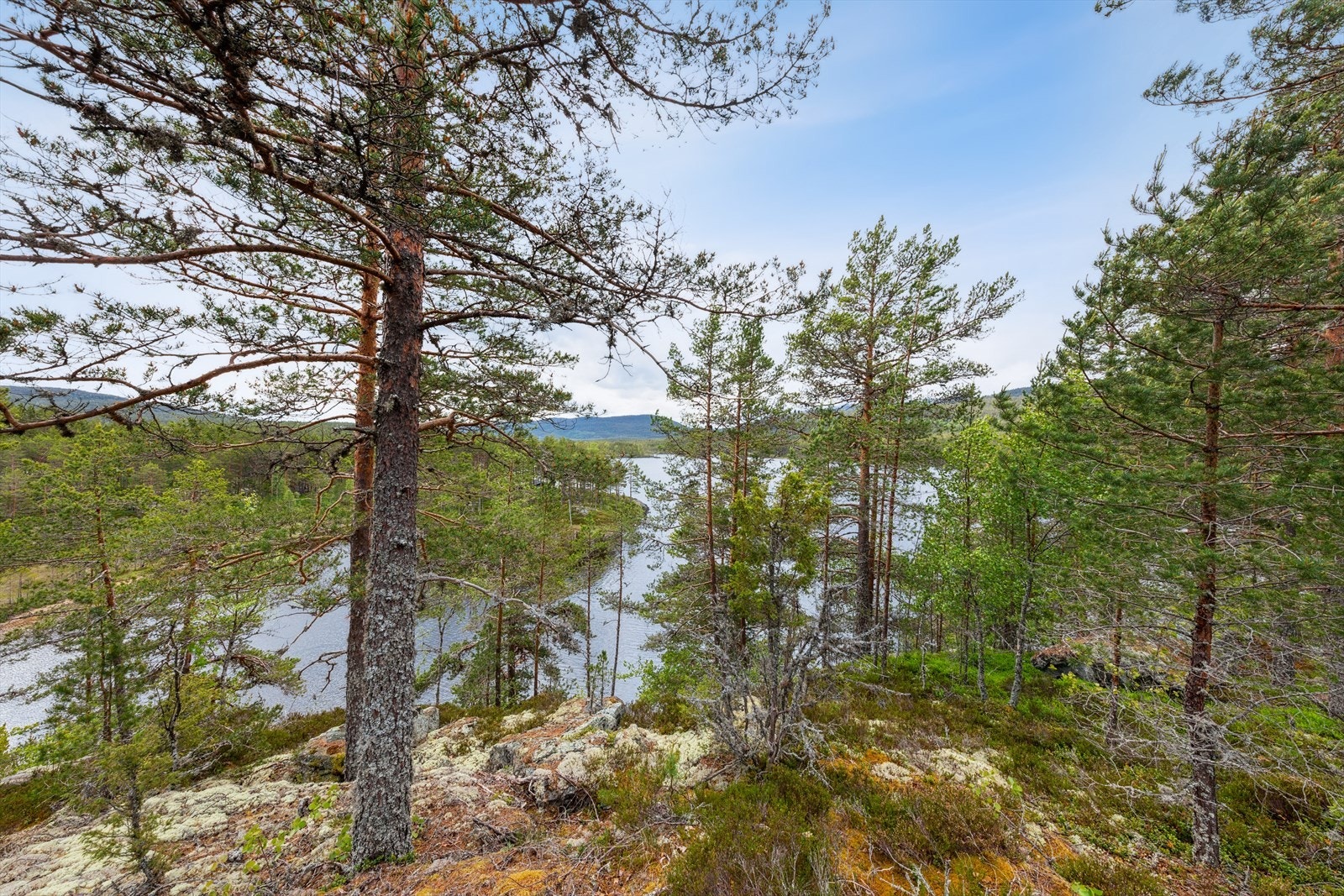 Hytta ligger usjenert og fint til. Tidligere benyttet eieren av hytta sti ned til vannet. Galleribilde