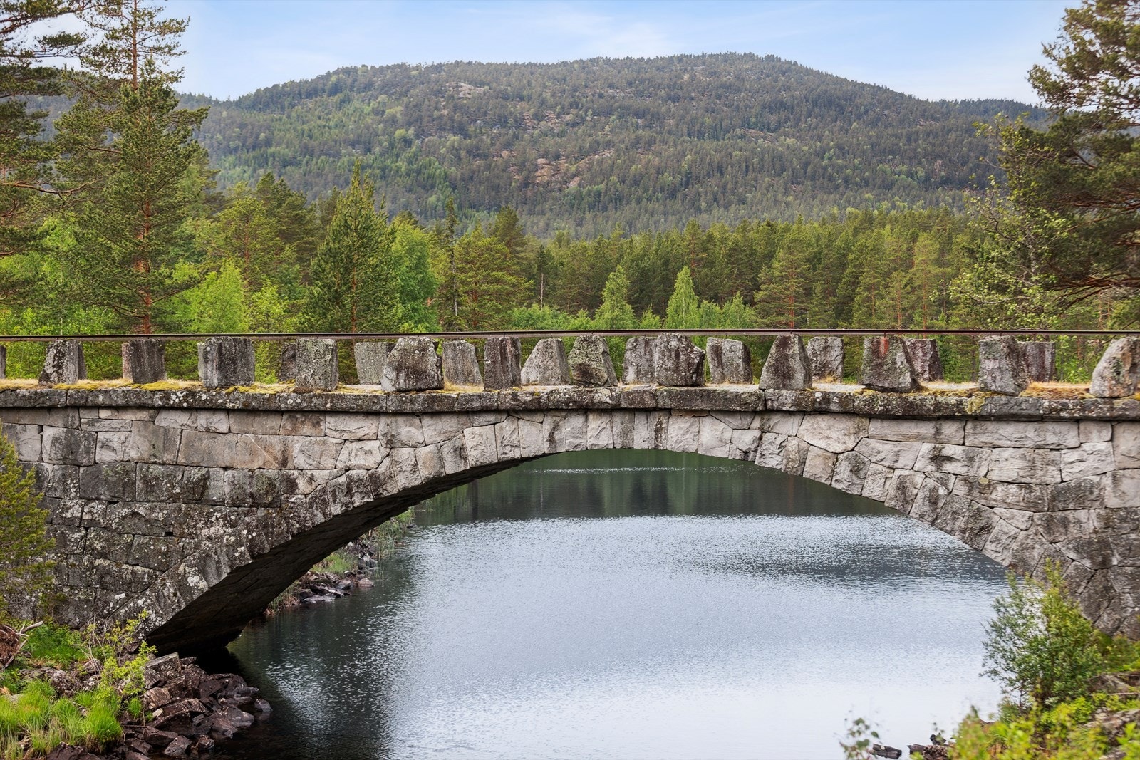 Nærområdet. Galleribilde