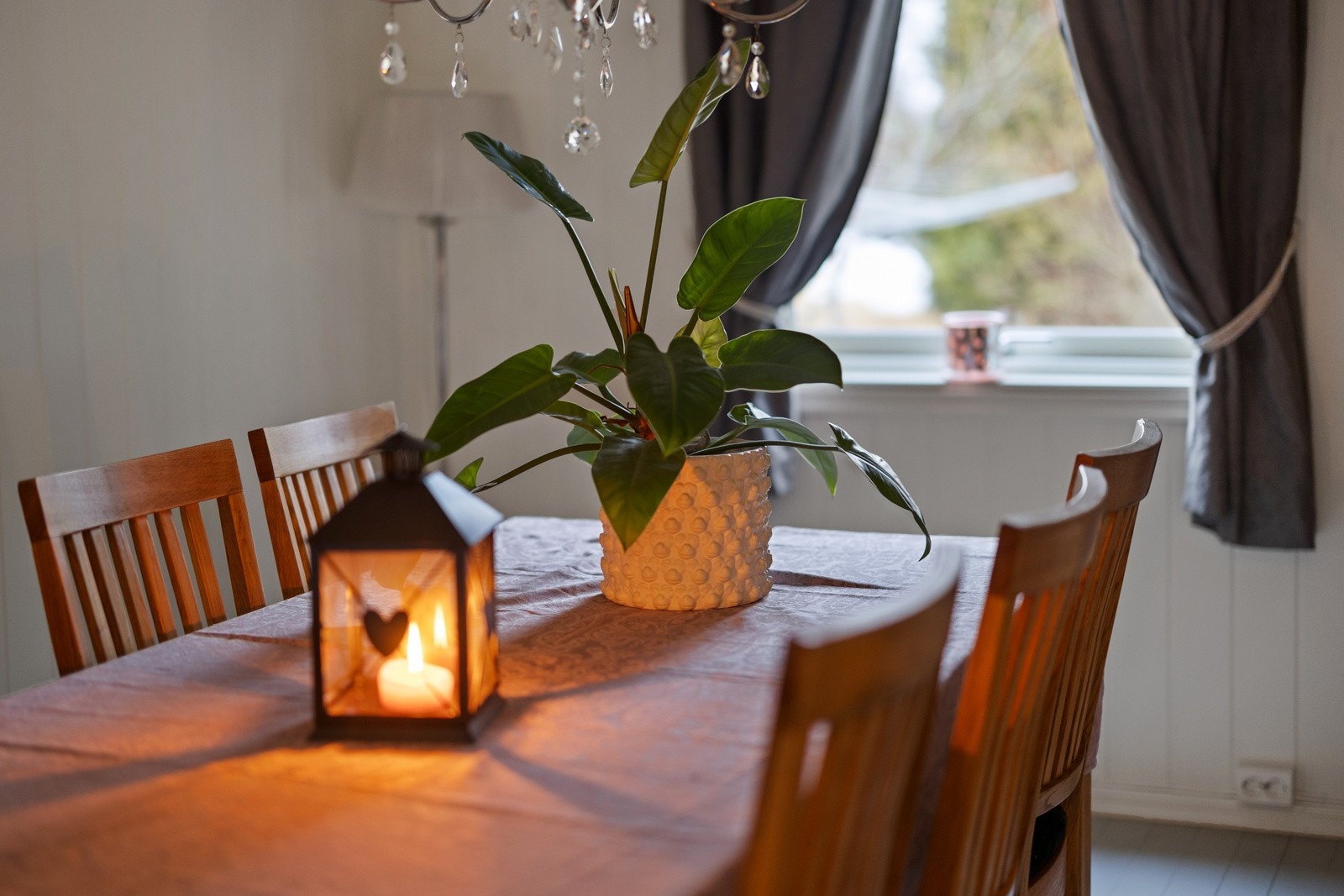 Koselig spisegruppe. Galleribilde