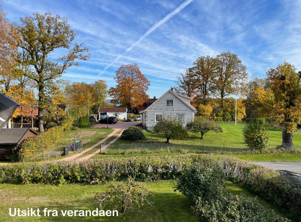 Selgers eget bilde Galleribilde