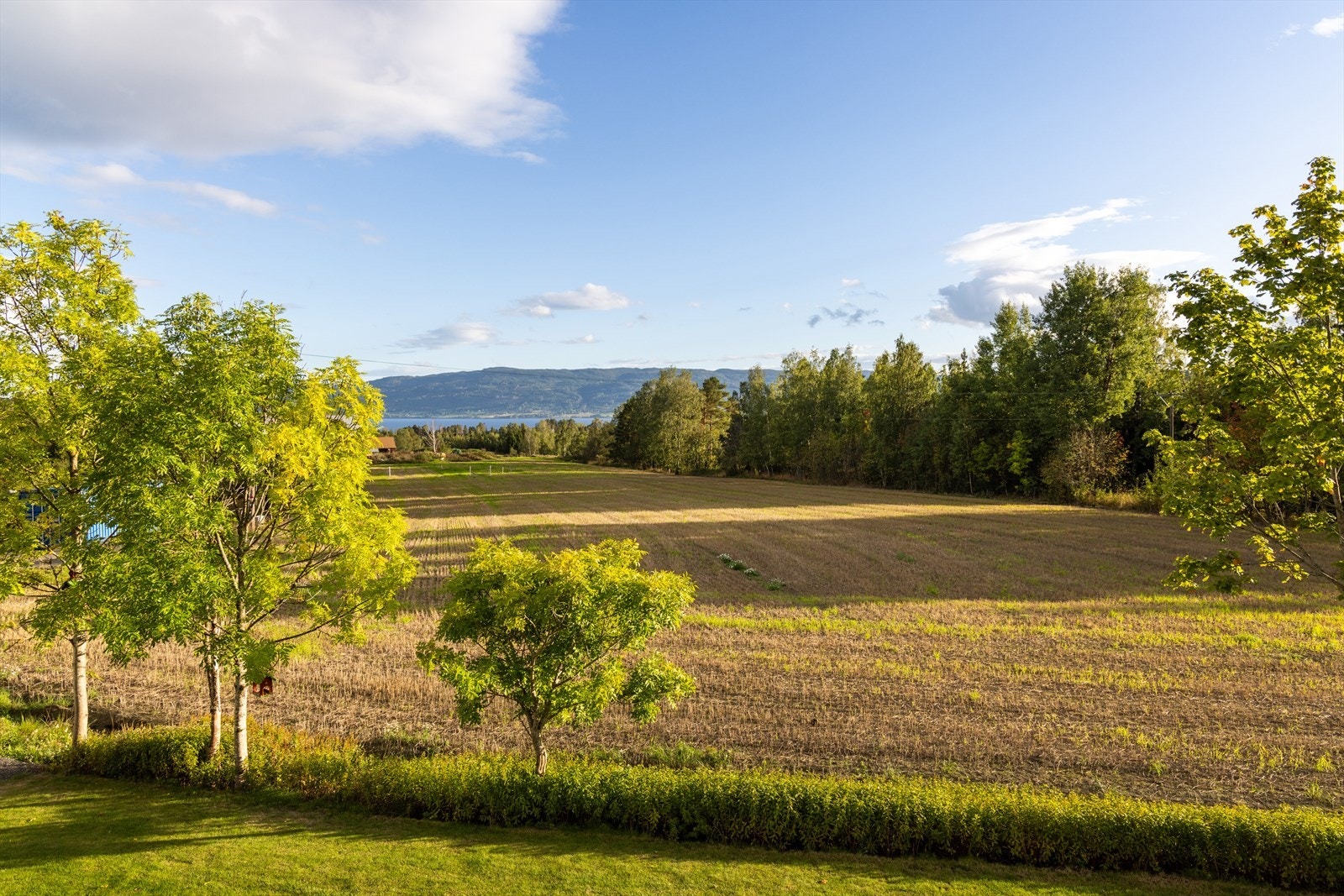 Med jordbruksareal som nabo er det ingen umiddelbar fare for at denne utsikten blir ødelagt! Galleribilde