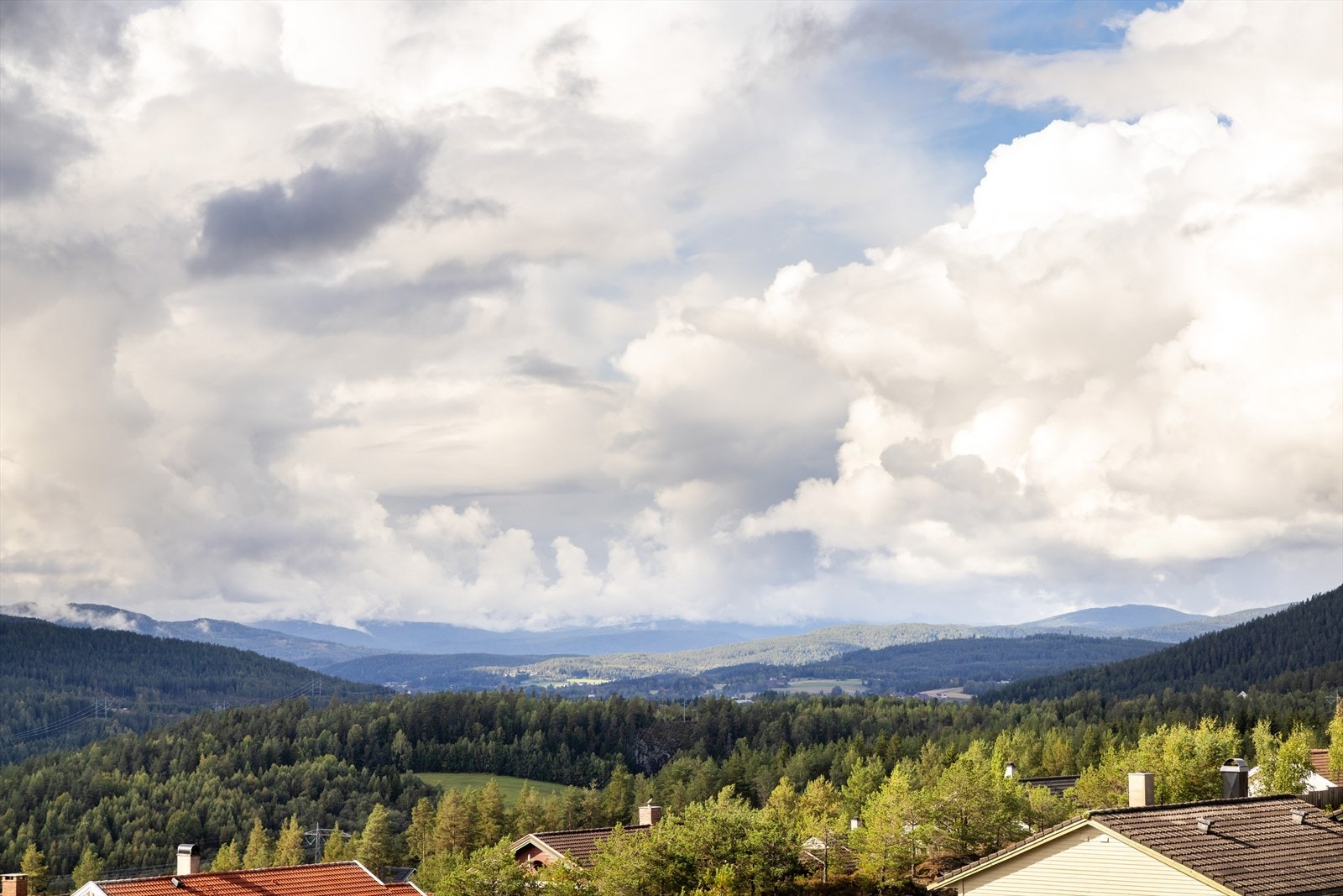 Solrikt og trivelig Galleribilde