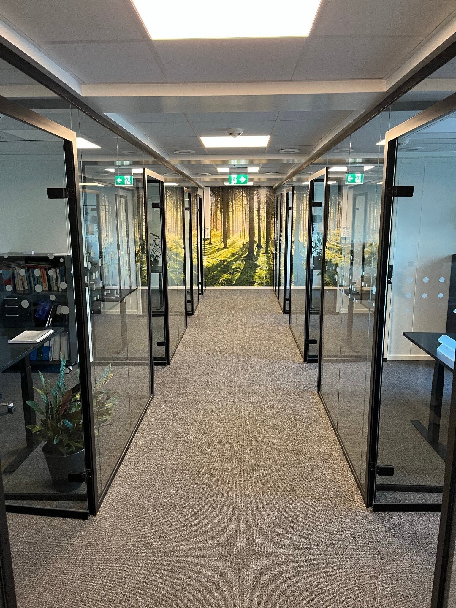 Moderne cellekontorer Galleribilde