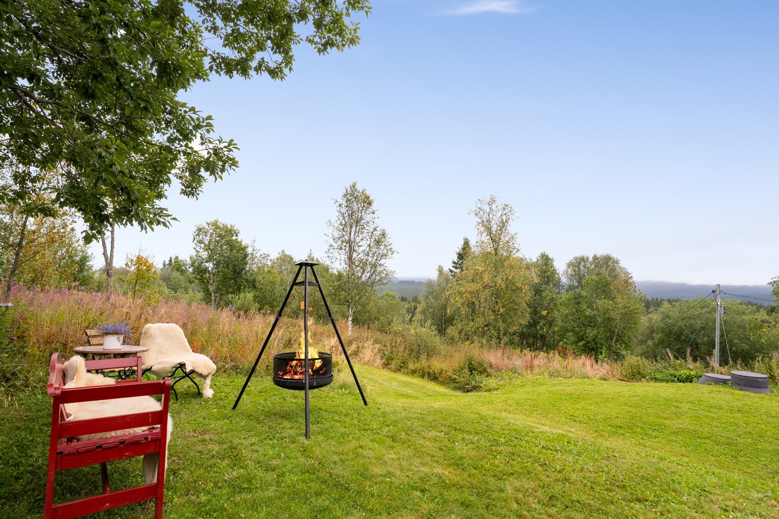 Romslig tomt på nesten 3 mål Galleribilde