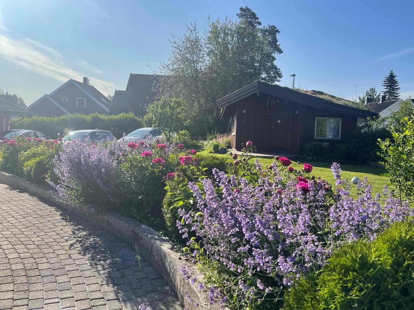 Selger sine private bilder av hagen - Her blir det grønt og frodig på sommerstid. Hagen fremstår som en liten oase. Galleribilde