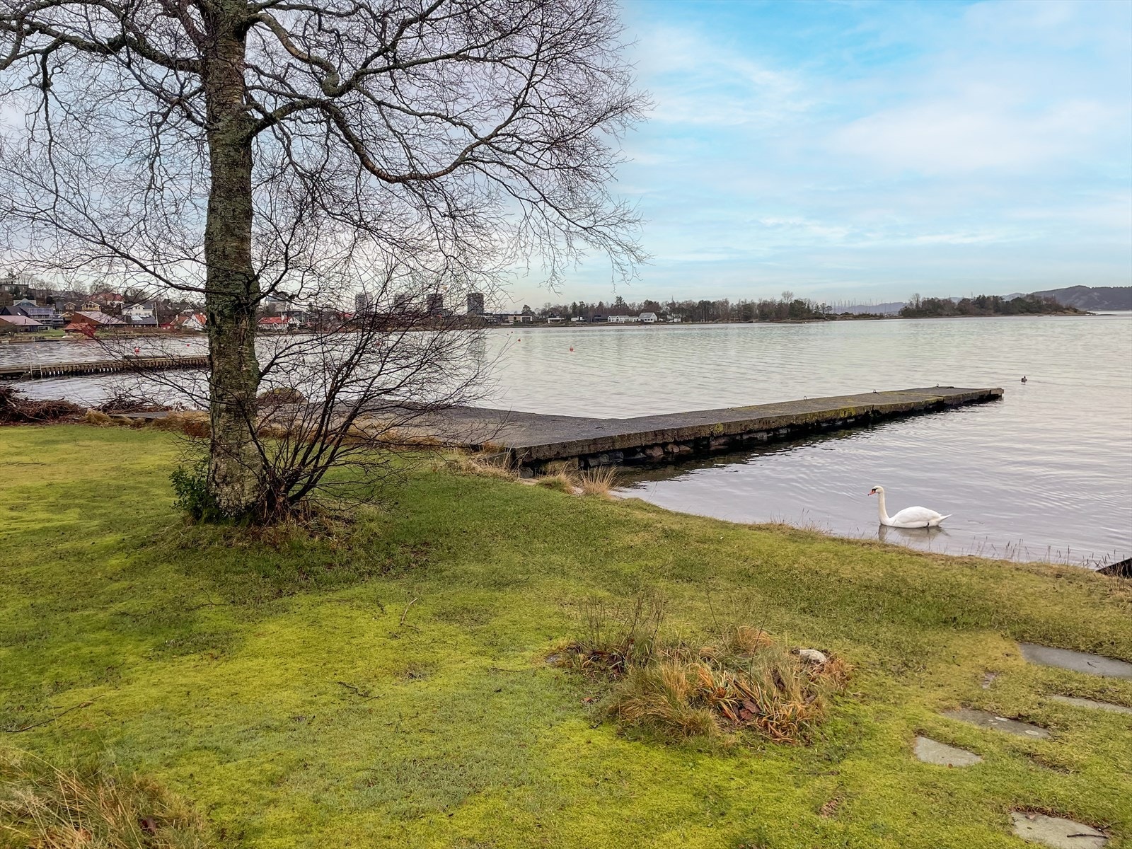Gauselvågen 58 bryggen og strandlinje. Denne bryggen kan du kle i tre for ett lettere og penere preg. Konferer megler Galleribilde