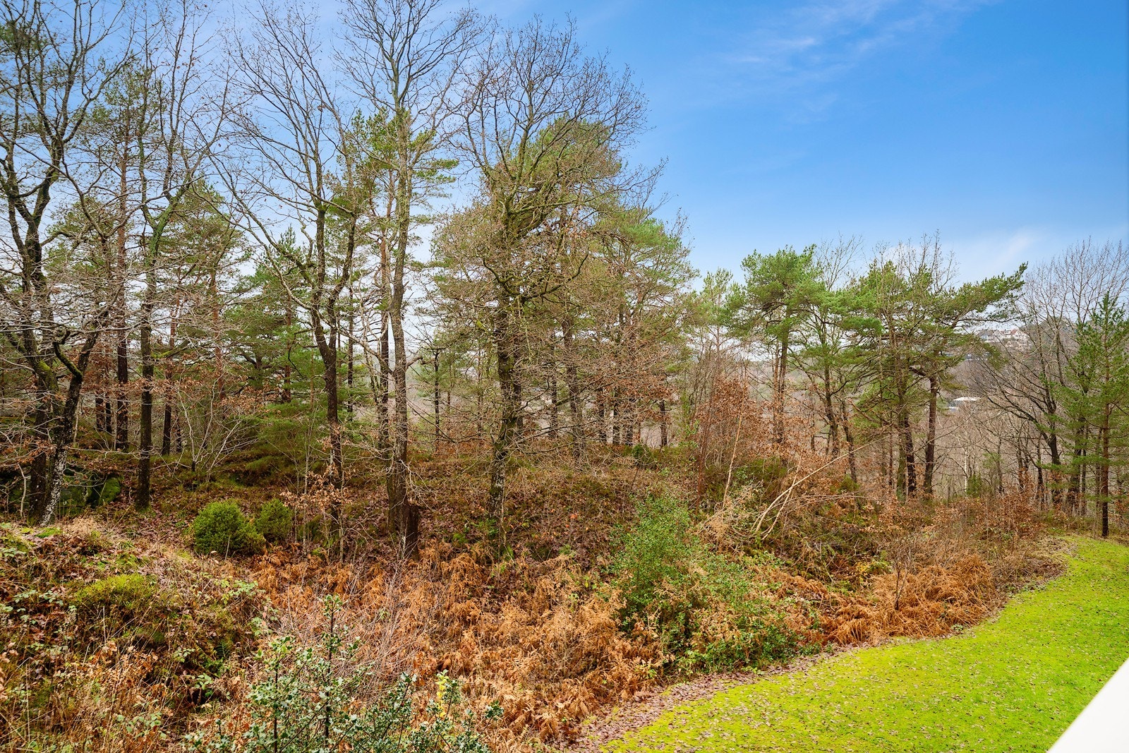 Utsikt fra balkong Galleribilde