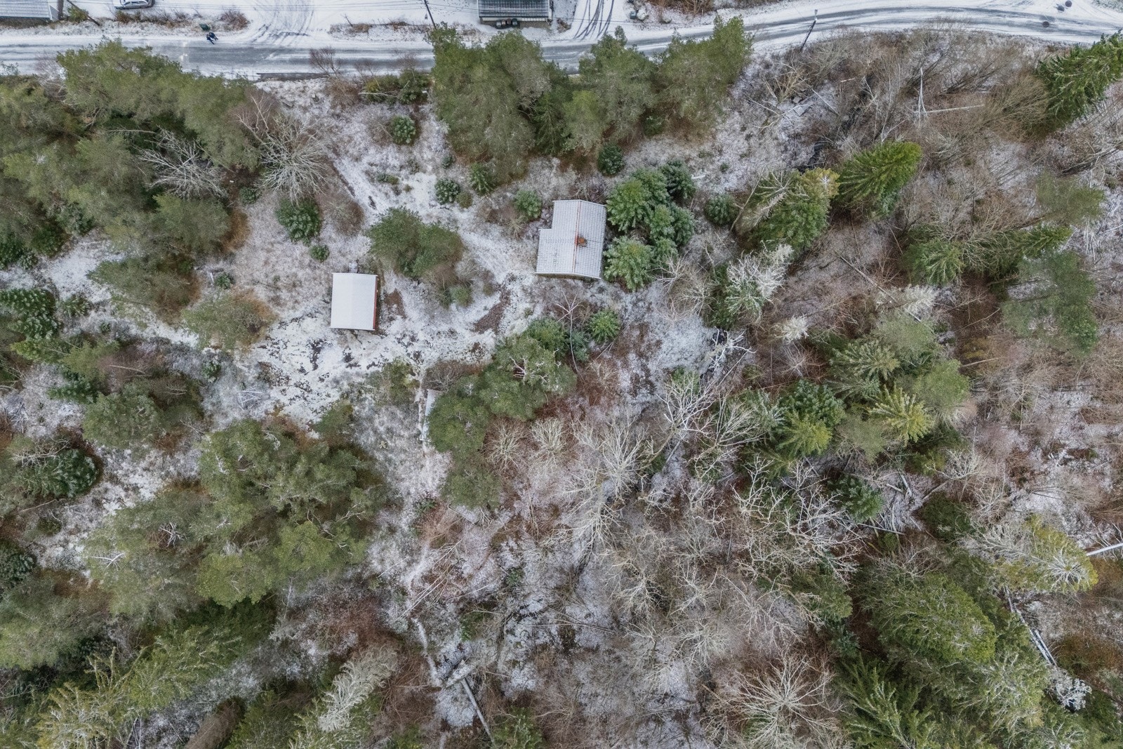 Velkommen til visning! Galleribilde