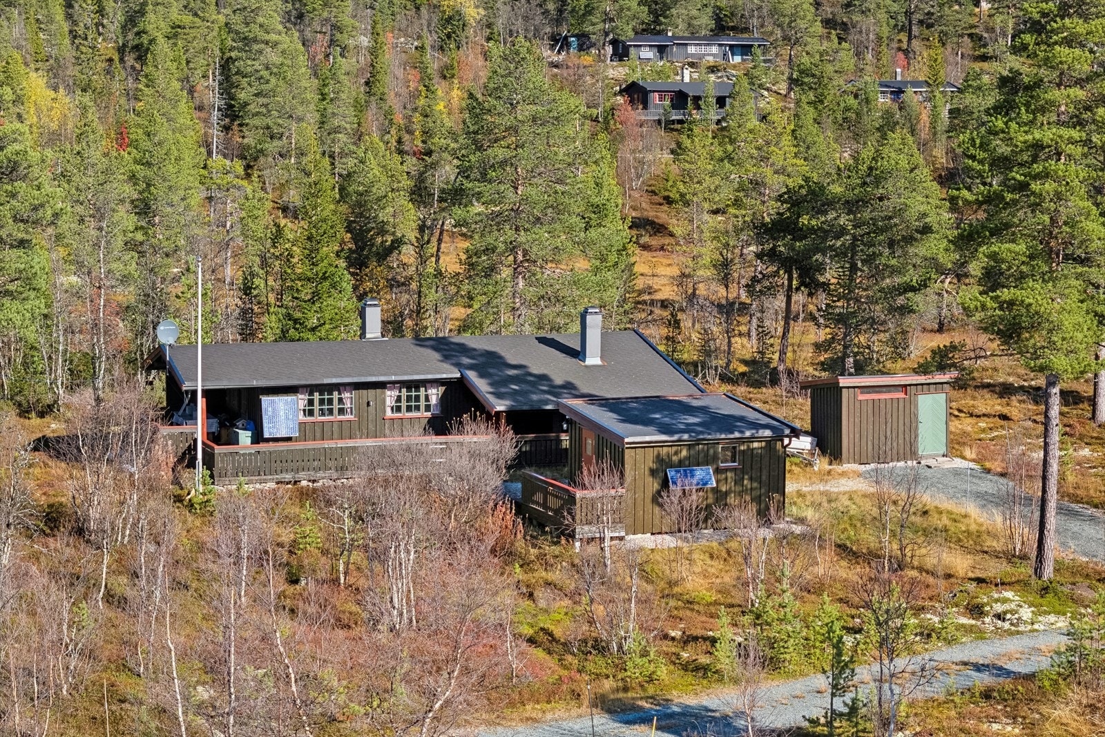 Velkommen til visning! Galleribilde