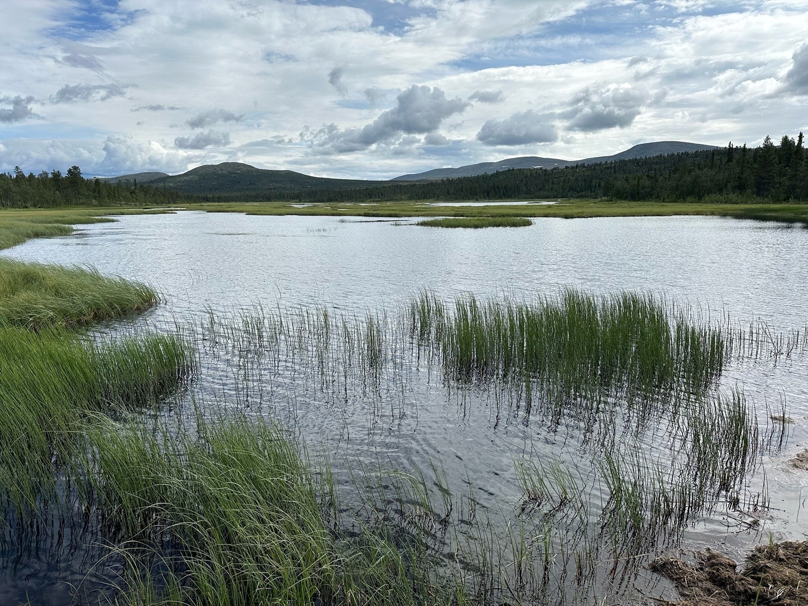 Løvåsvatnet Galleribilde