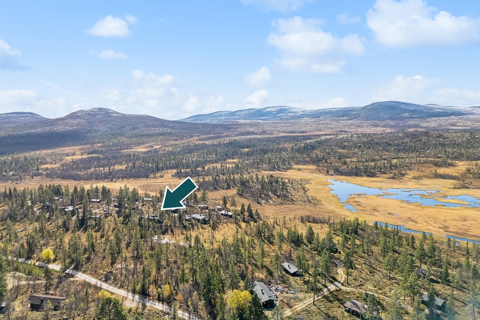 Dronefoto over området Galleribilde