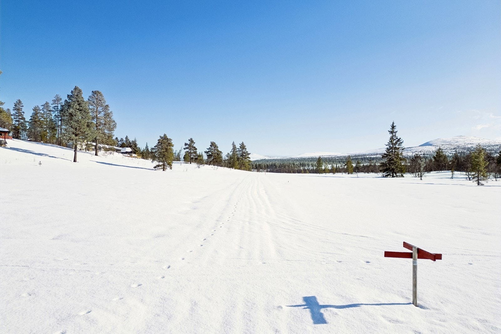 Skiløyper i nærområdet på vinterstid Galleribilde