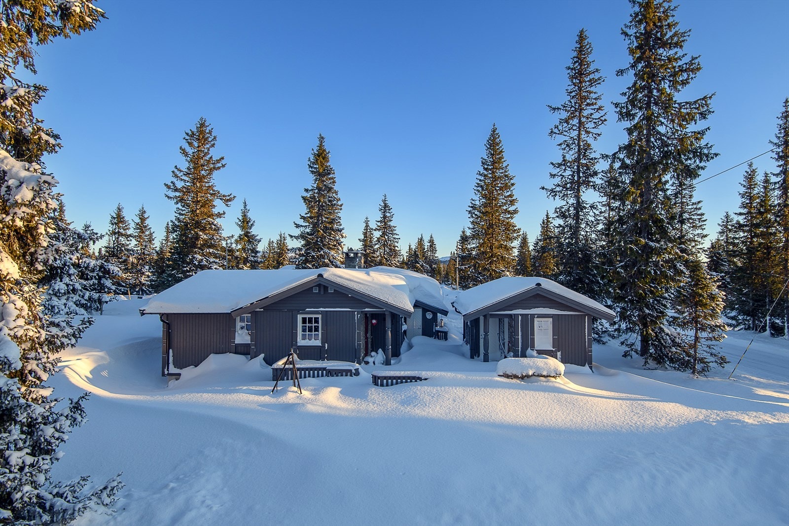 Velkommen til Sjusjøen-Brøttum 1248! Foto: Lars Marius Bækkevold. Galleribilde