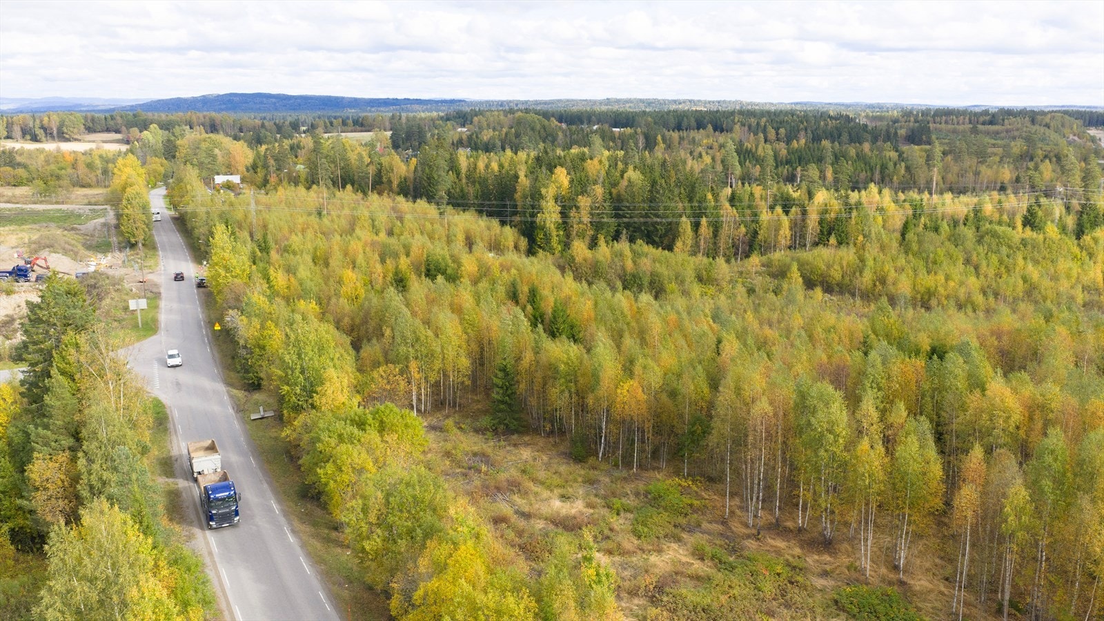 Tomten består av naturlig vegetasjon og skog. Det går et høyspenningsanlegg over deler av tomten. Galleribilde
