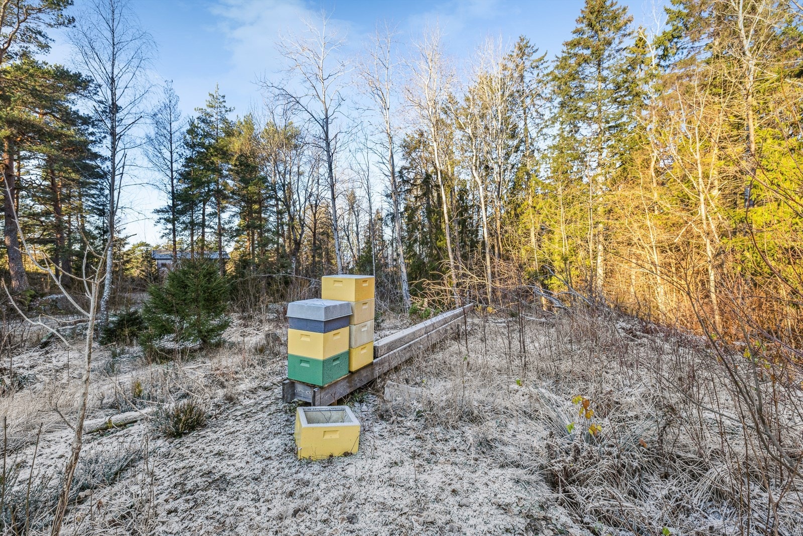 Ubygget tomt på 1880,6 m². Galleribilde