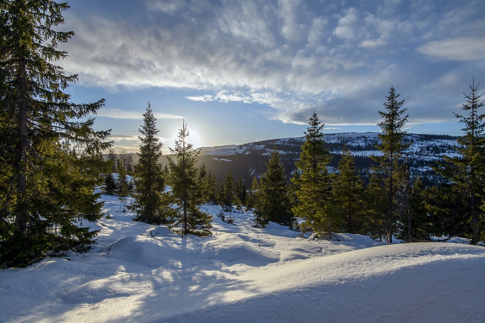 07_uten navn Galleribilde