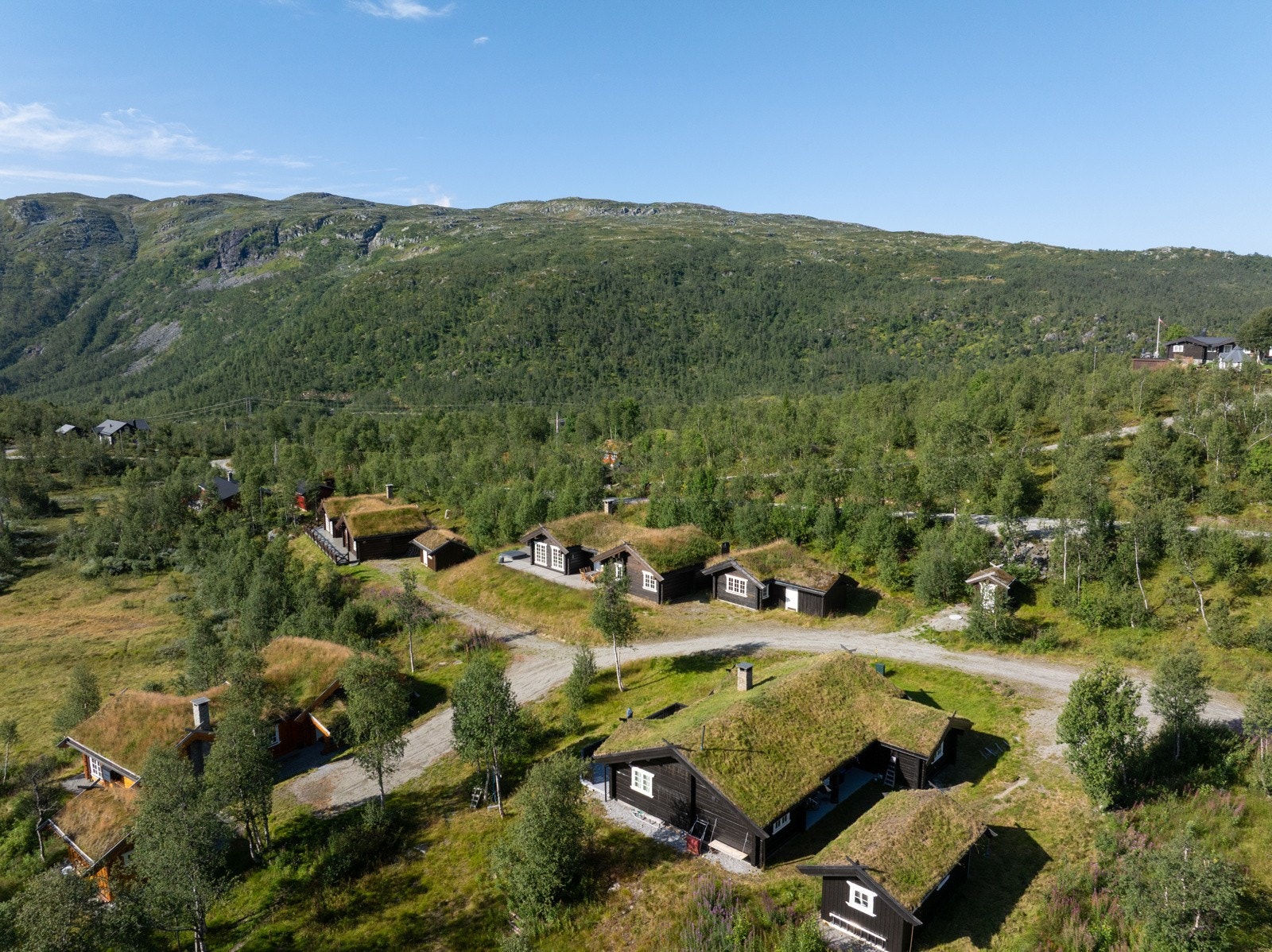 Hytten ligger i rolige omgivelser, tett på naturen Galleribilde