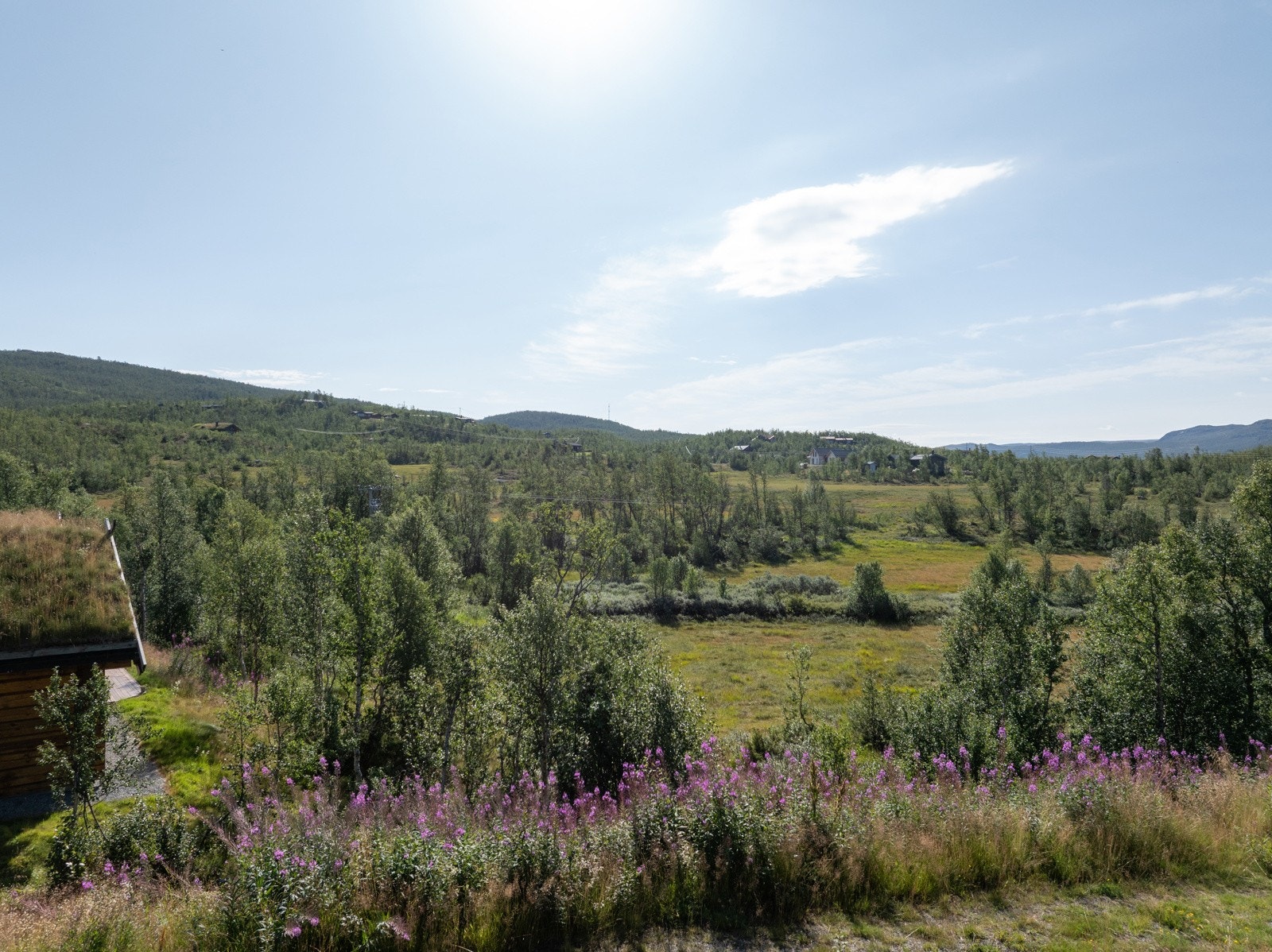 Finnes det noe mer idyllisk? Galleribilde