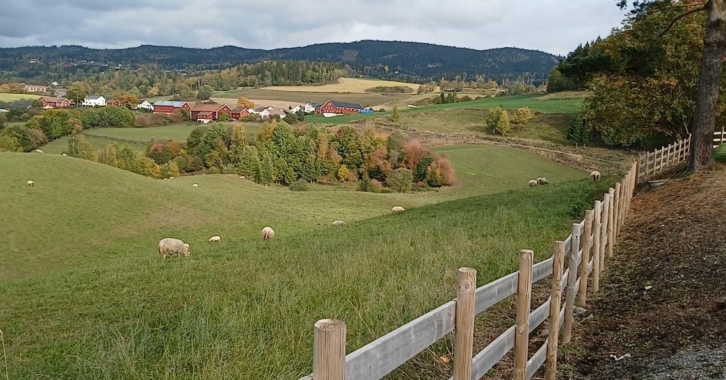 Selgers private bilde fra nærområde. Galleribilde