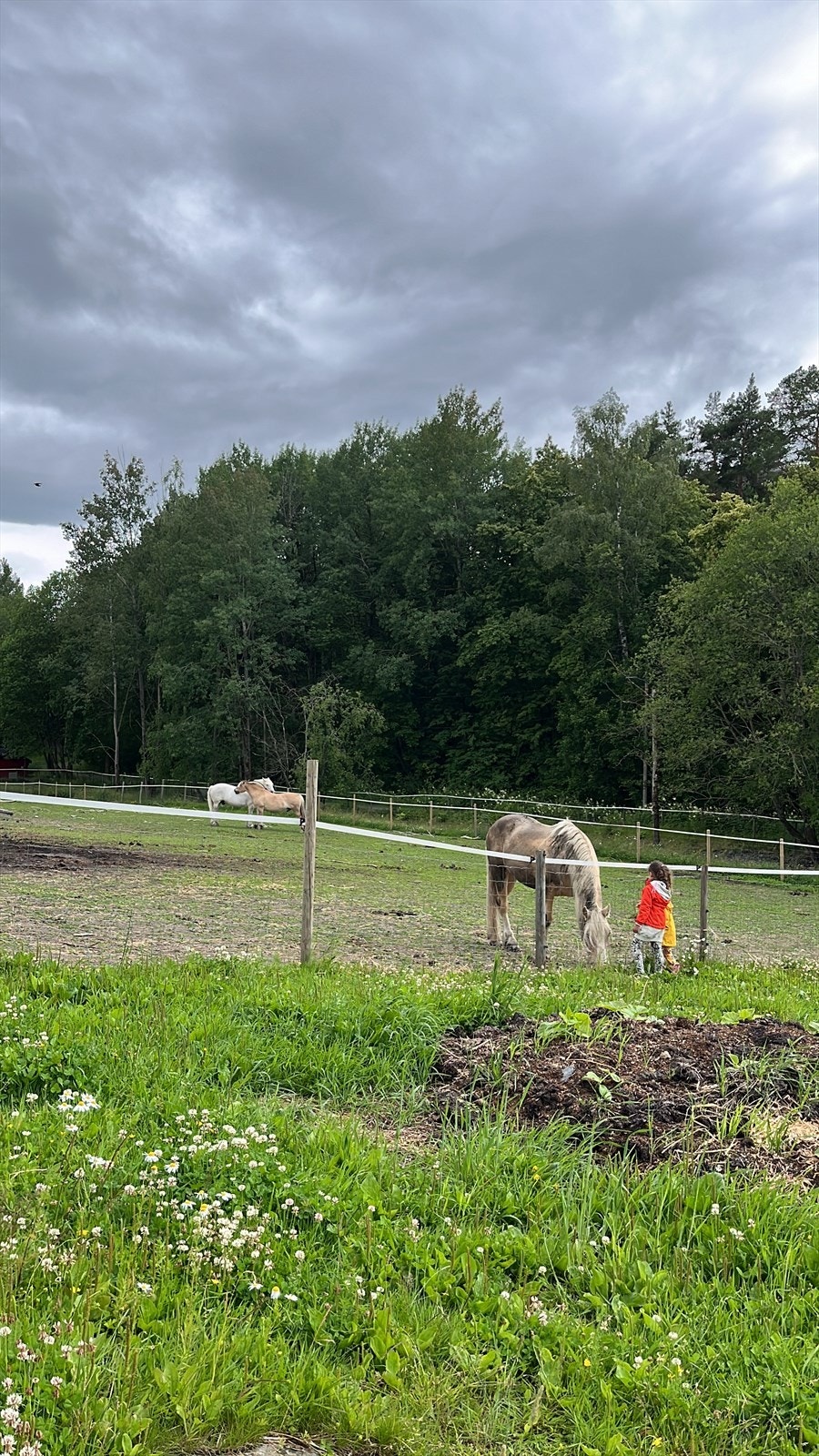 Søndre Aas gård ligger 10 minutter i gåavstand fra leiligheten. (Foto: privat) Galleribilde