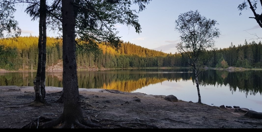 Skredderudtjern er et perfekt turmål og et flott badevann. Selger stemningsbilde. Galleribilde