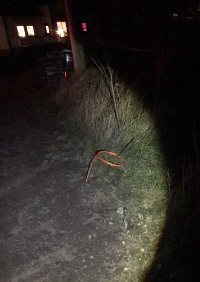 Fiberkabel Galleribilde