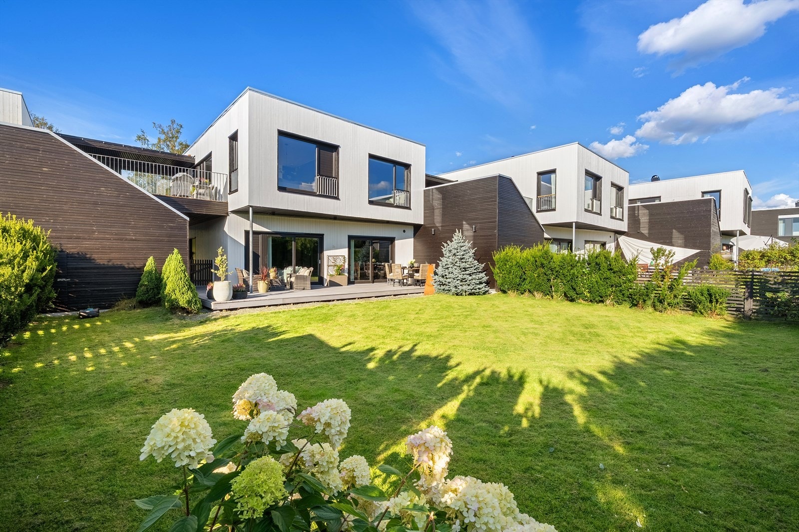 Velkommen til trivelig visning! Galleribilde