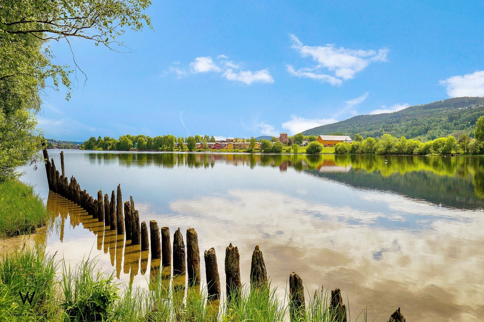 Elveparken. Galleribilde