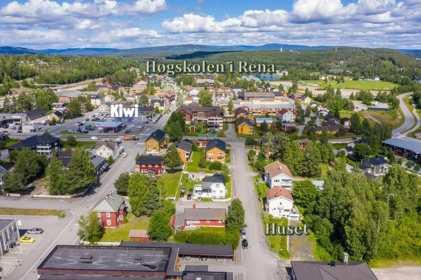 Oversikt Rena Galleribilde