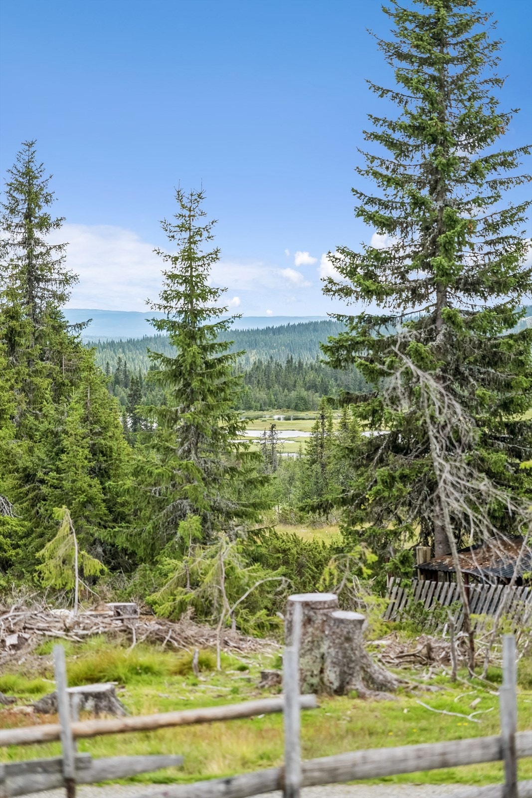 Utsikt fra eiendommen. Galleribilde