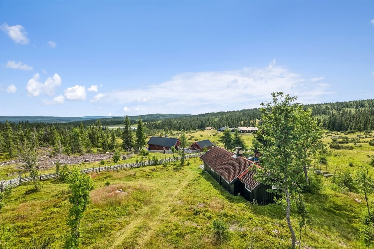 Hytta sett utover i retning mot grunnåsen / Åstdalen med omland Galleribilde